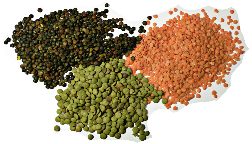 Red Lentils