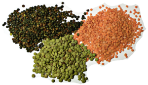Red Lentils