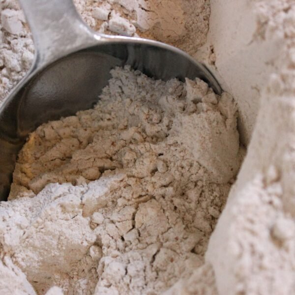Whole Wheat Flour