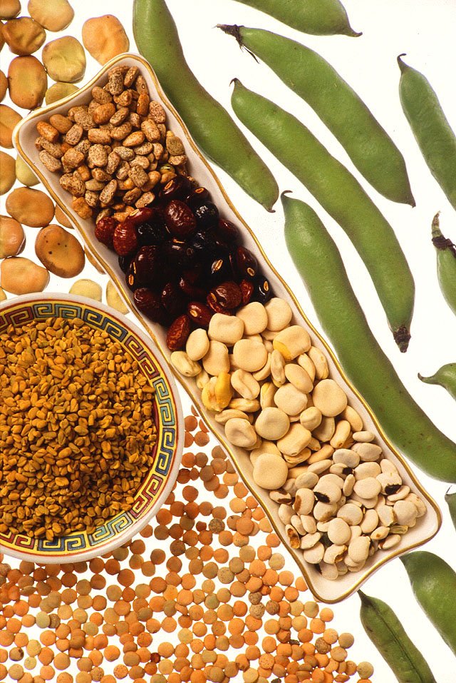 Legumes & Grains
