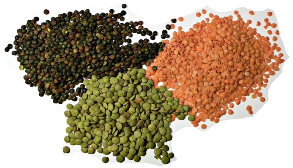Red Lentils